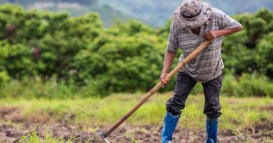 antidraseis-apo-tous-agrotes-gia-auksiseis