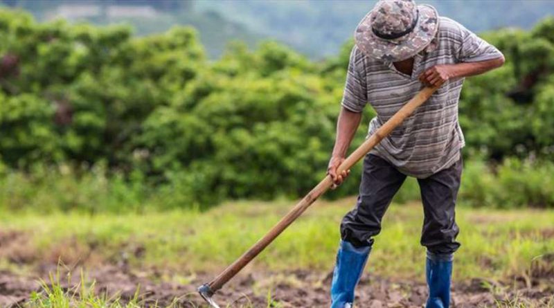 antidraseis-apo-tous-agrotes-gia-auksiseis