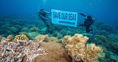 saveseas