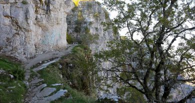 faraggi_vikou_vikos