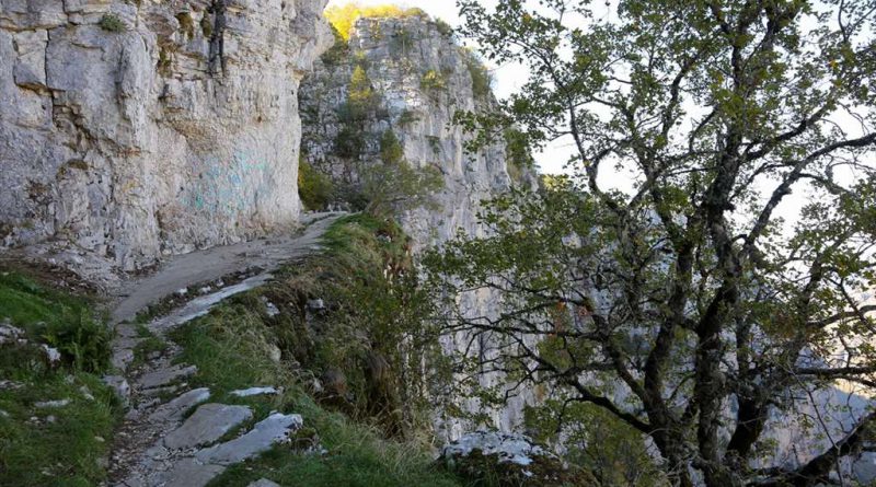 faraggi_vikou_vikos